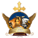 Ankur Narula logo