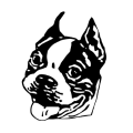 Baba Fareed logo