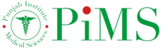 PMS logo